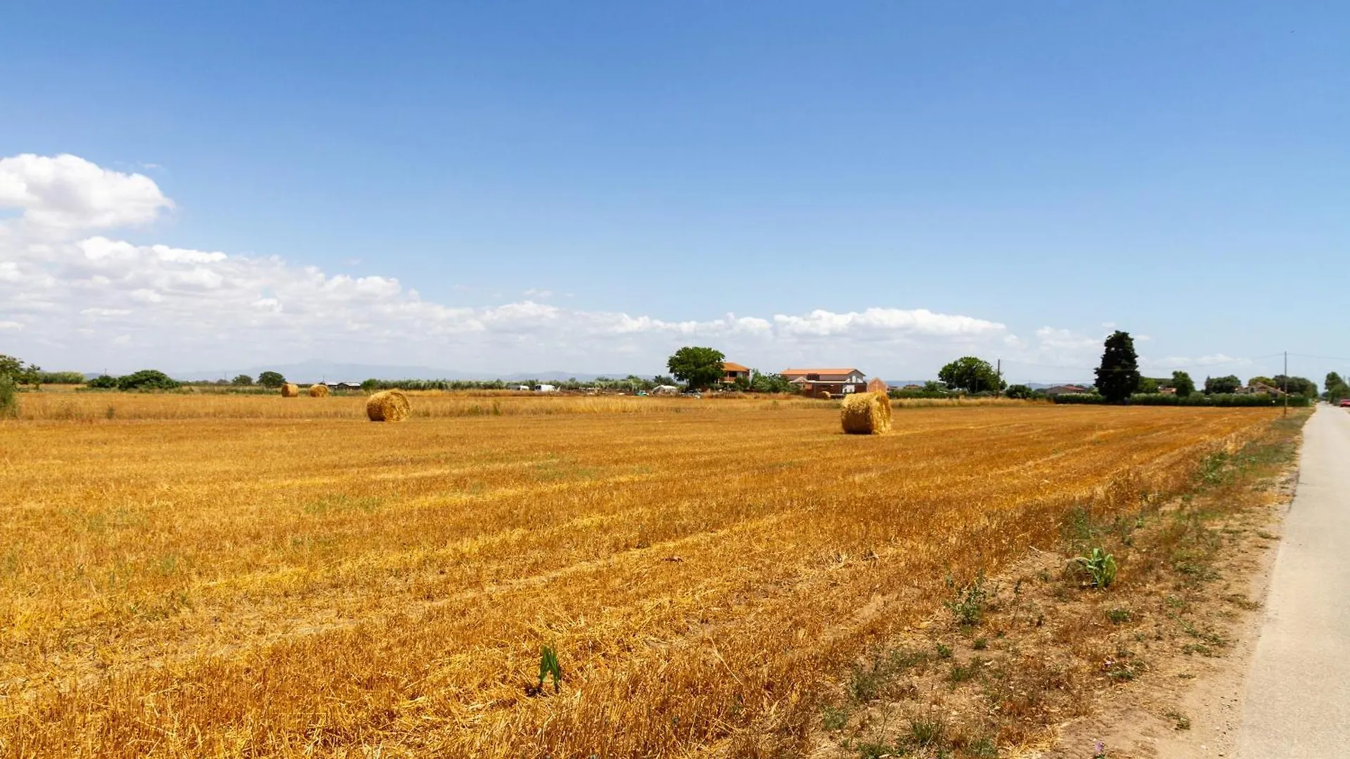 Trilo Dalia Villa Marina di Grosseto