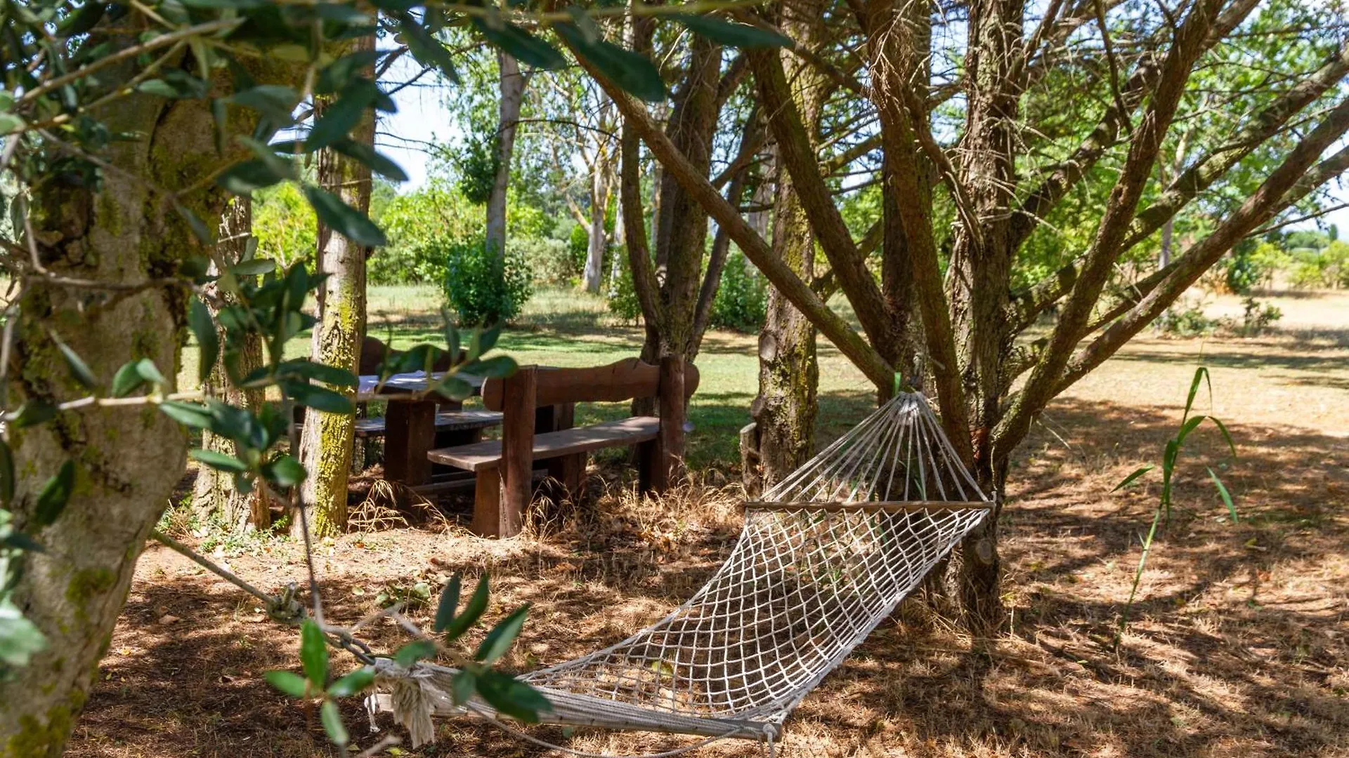Trilo Dalia Villa Marina di Grosseto Farm stay